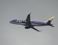 福岡空港離陸のFDA パープル