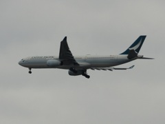 福岡空港へランディングのキャセイパシフィック　A330