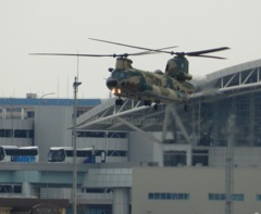 福岡空港へ下りる航空自衛隊　CH-47J　1