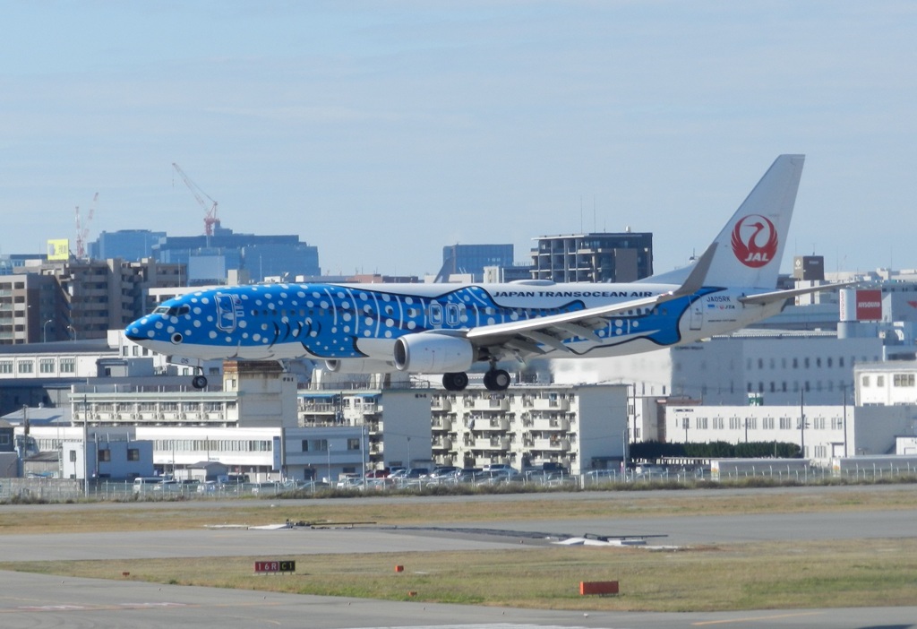 JTA  B737-800  ジンベイジェット　福岡空港ランディング