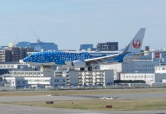 JTA  B737-800  ジンベイジェット　福岡空港ランディング