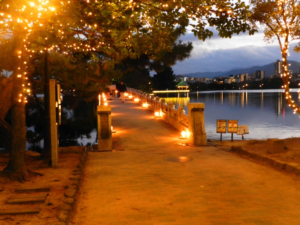 大濠公園イルミネーション　4