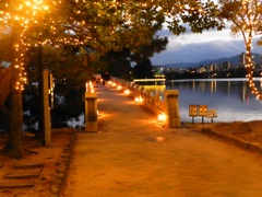 大濠公園イルミネーション　4