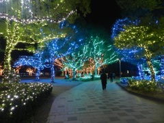 中州イルミネーション2025　13