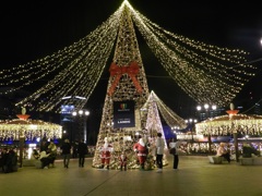 中州イルミネーション2025　3