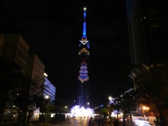 福岡タワーHAPPY BIRTHDAYイルミネーション　2