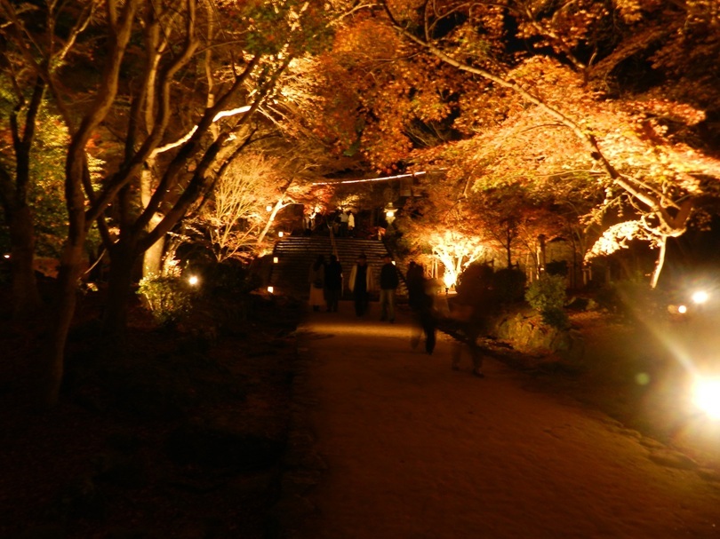 太宰府内山竈門神社　紅葉ライトアップ　2