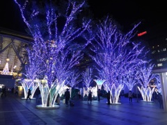 博多シティイルミネーション2025　7
