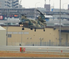 福岡空港へ下りる航空自衛隊　CH-47J  2