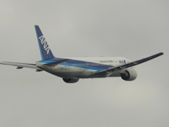 福岡空港　ANA B777-200離陸　2