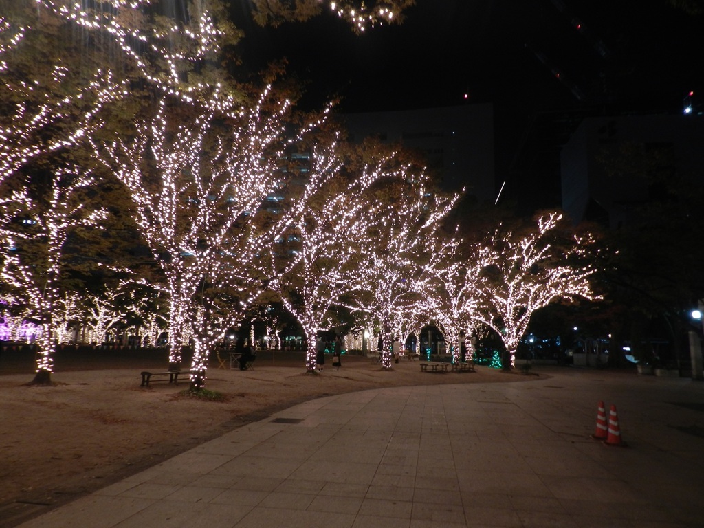 中州イルミネーション2025　10