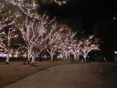 中州イルミネーション2025　10