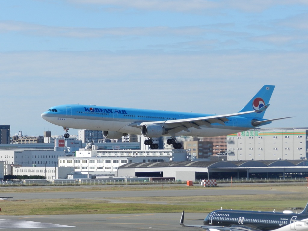 KOREAN AIR  A330-300　福岡空港ランディング　1