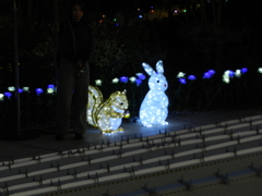 博多シティのイルミネーション　2