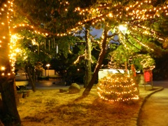 大濠公園イルミネーション　7