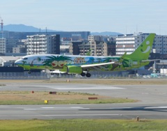 ソラシドエア　  ナーシージェット　福岡空港ランディング　1