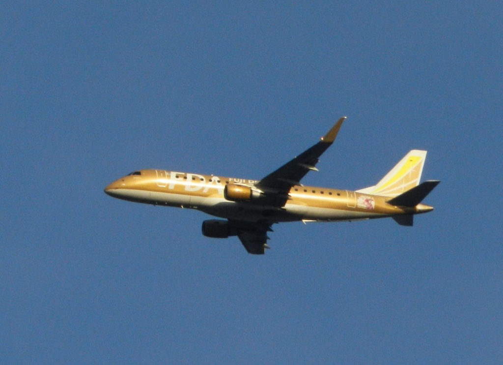 福岡空港ランディングのFDA ゴールド