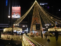 中州イルミネーション2025　5