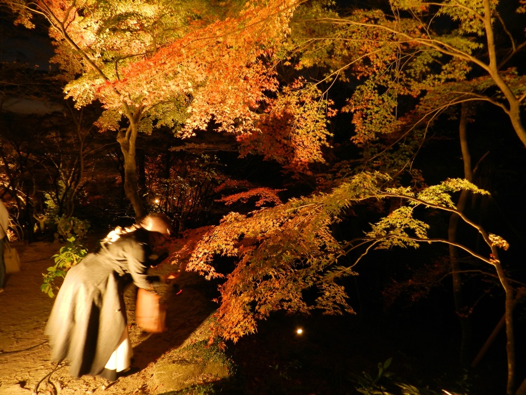 太宰府内山竈門神社　紅葉ライトアップ　4