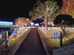 北九州小倉紫川イルミネーション　10