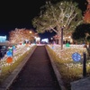 北九州小倉紫川イルミネーション　10