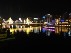 中州イルミネーション2025　1