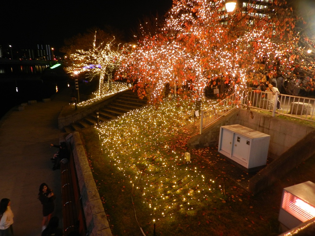 北九州小倉紫川イルミネーション　4