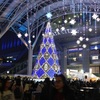 博多シティイルミネーション2025　2