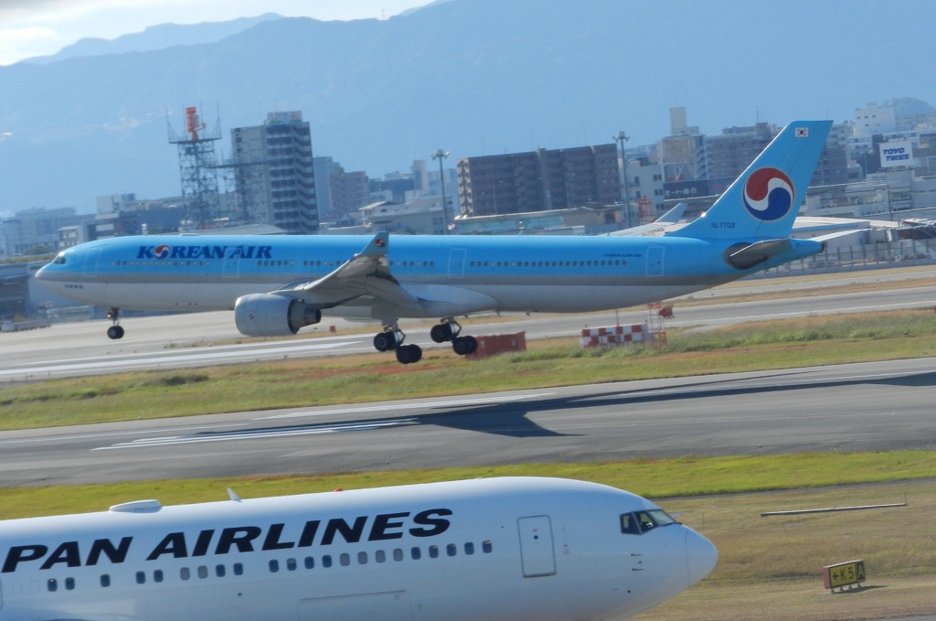 KOREAN AIR  A330-300　福岡空港ランディング　2