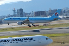 KOREAN AIR  A330-300　福岡空港ランディング　2