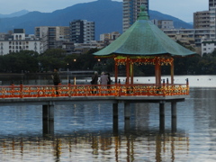 大濠公園イルミネーション　1