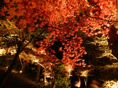 太宰府内山竈門神社　紅葉ライトアップ　7