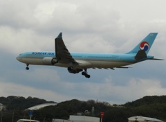 KOREAN AIR A330-300 福岡空港ランディング