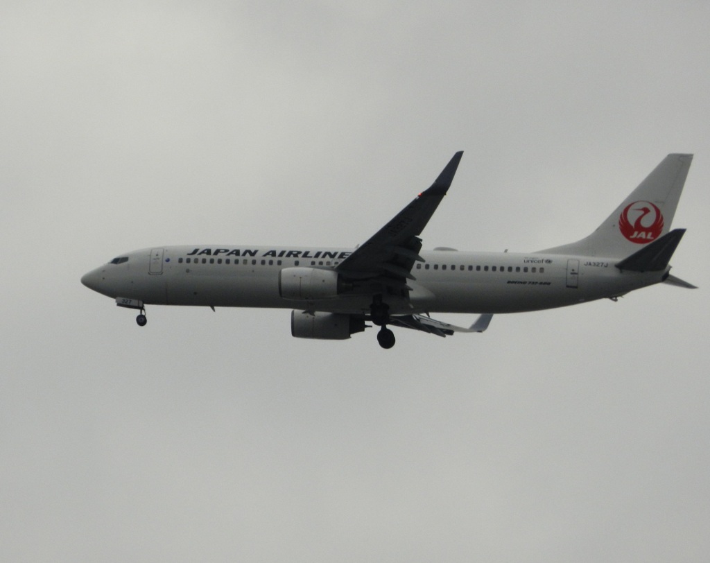 福岡空港へランディングのJAL B737-800