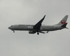 福岡空港へランディングのJAL B737-800