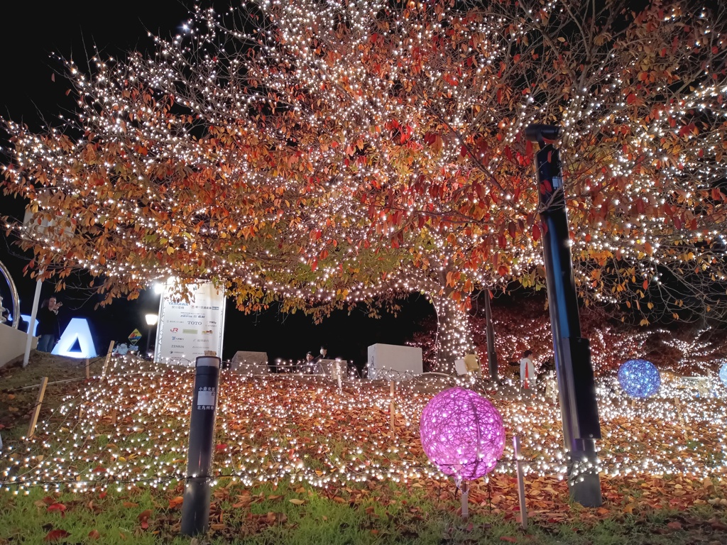 北九州小倉紫川イルミネーション　12