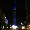福岡タワーHAPPY BIRTHDAYイルミネーション　3