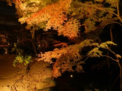 太宰府内山竈門神社　紅葉ライトアップ　3