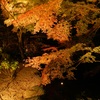太宰府内山竈門神社　紅葉ライトアップ　3