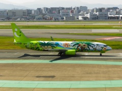 ソラシドエア　ナーシージェット宮崎　2