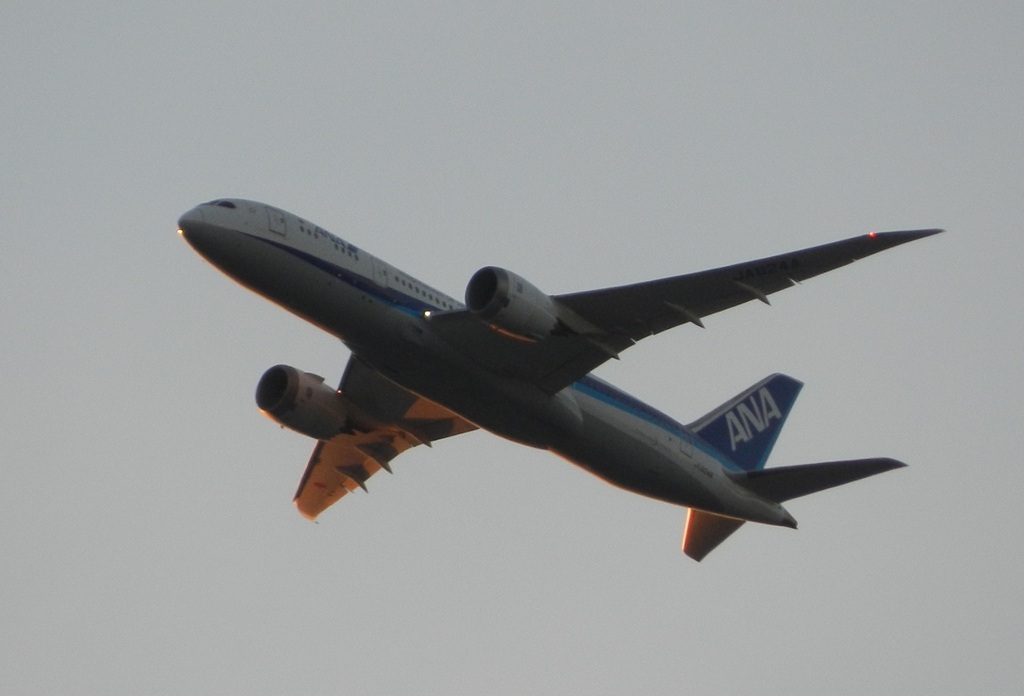 ANA  B787-8  JA824A　福岡空港離陸