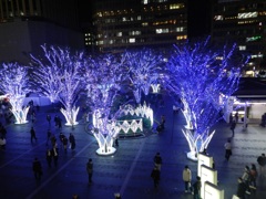 博多シティイルミネーション2025　8