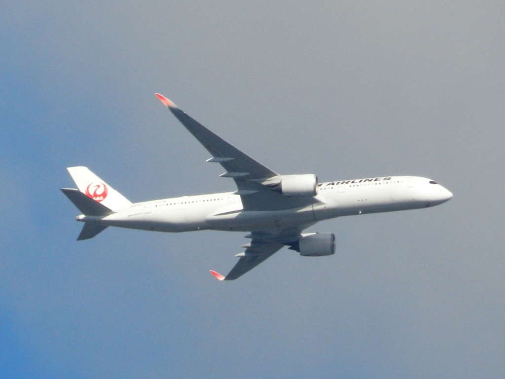 佐賀基山山頂より見える　JAL A350