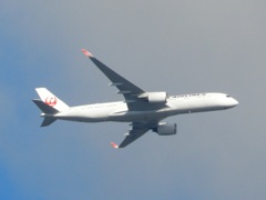 佐賀基山山頂より見える　JAL A350