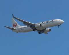 JAL B737-800 福岡空港ランディング