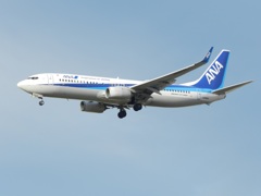 ANA B737-800　福岡空港ランディング