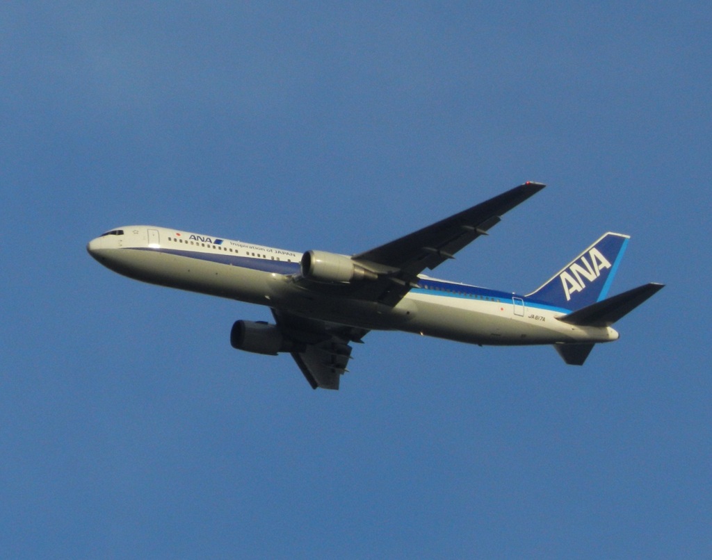 福岡空港ランディングのANA B767-300ER　