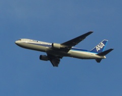 福岡空港ランディングのANA B767-300ER　