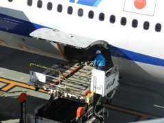 ANA B777-300　出発準備　2