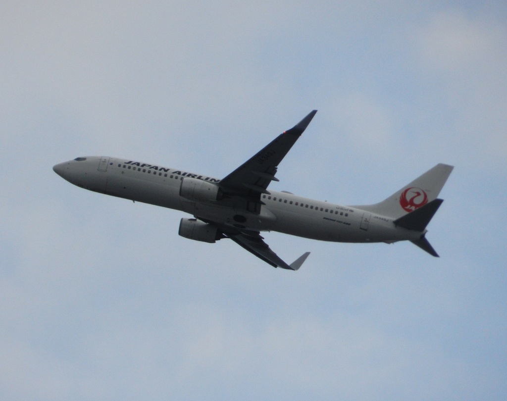 JAL B737-800 福岡空港離陸